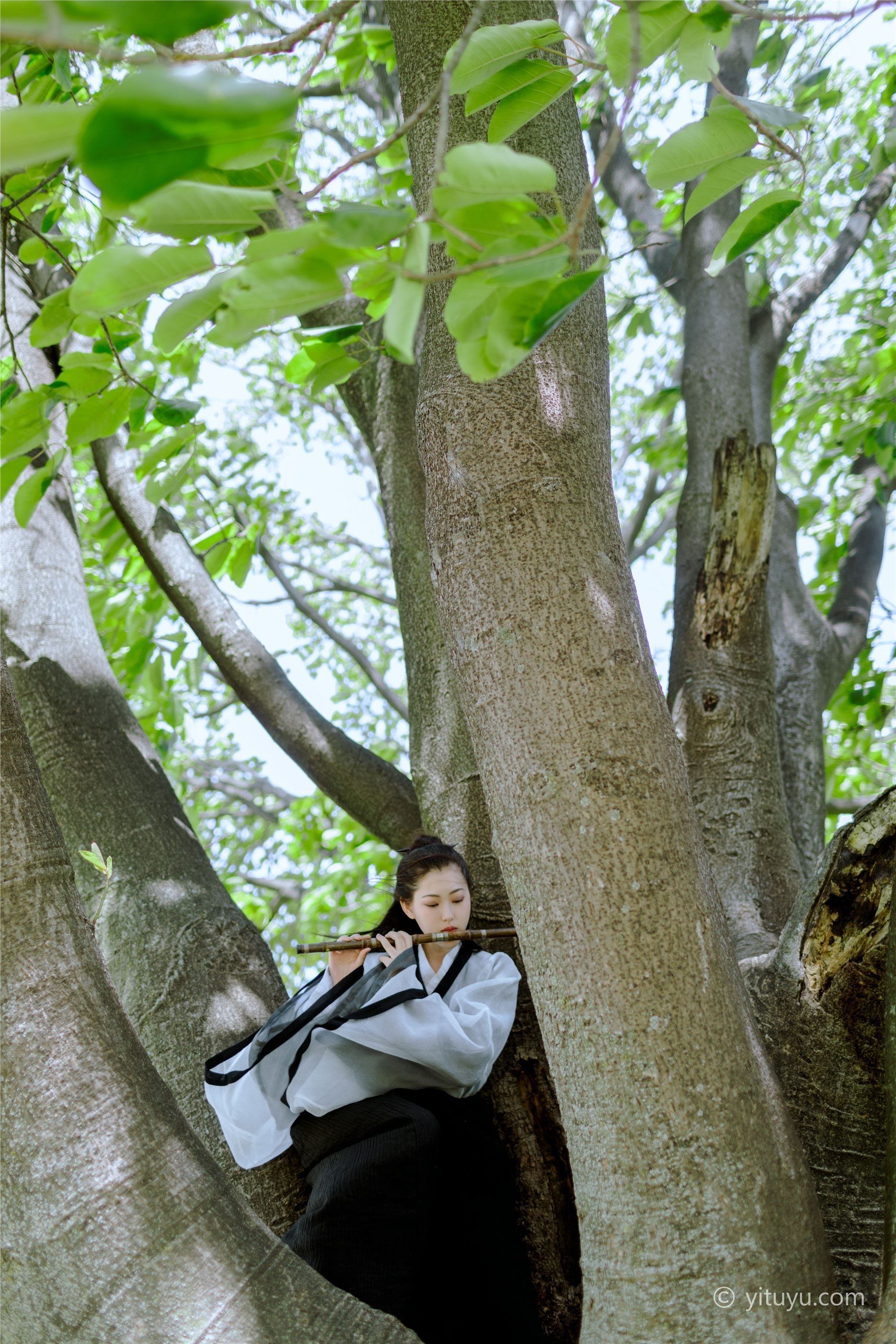 YITUYU艺图语  2021.06.09 风之子 静静